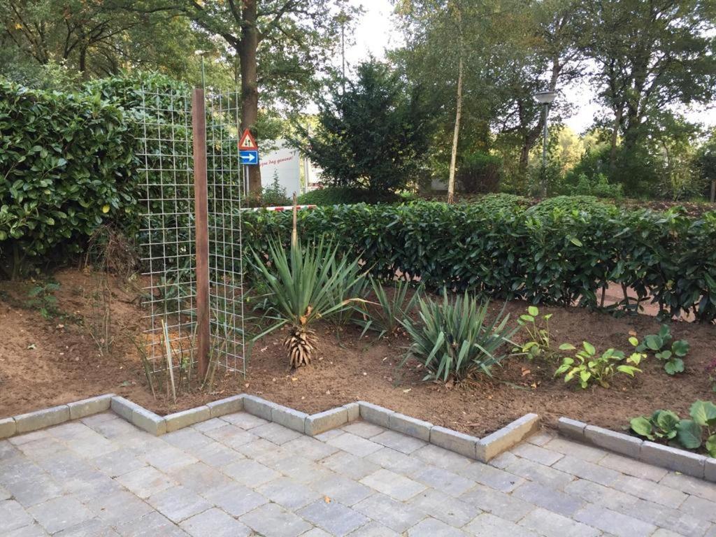 Rumah Kita, Bungalow Met 2 Slaapkamers In Het Mooie Drenthe Erm Εξωτερικό φωτογραφία
